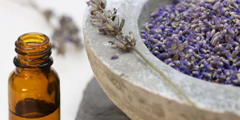 Schilddrüsen und Hormontherapie Schilddrüsen und Hormontherapie